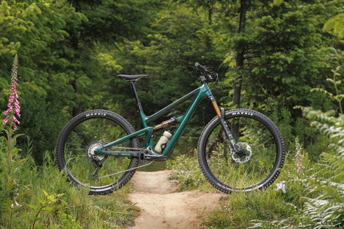 Ibis Ripley V5 Frameset